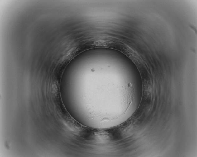 X0000095920603200801181419