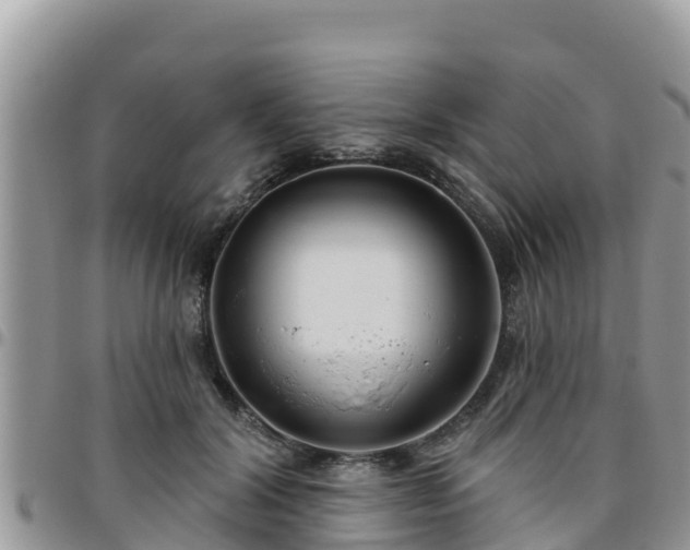 X0000095920604200801181419