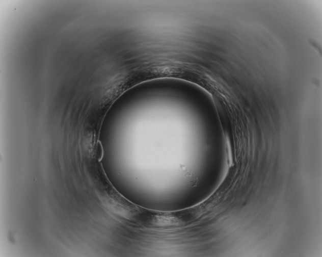 X0000095920605200801181419