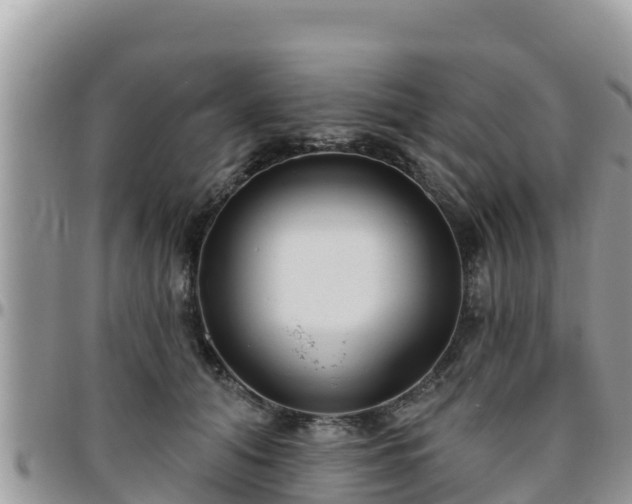 X0000095920608200801181419