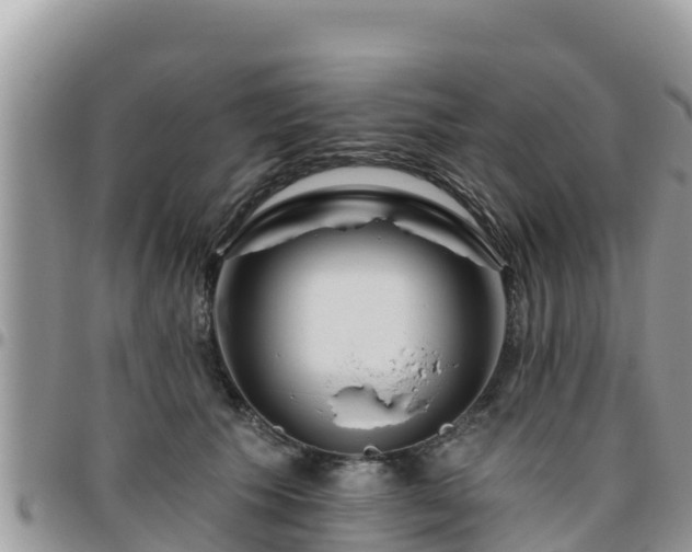 X0000095920609200801181419