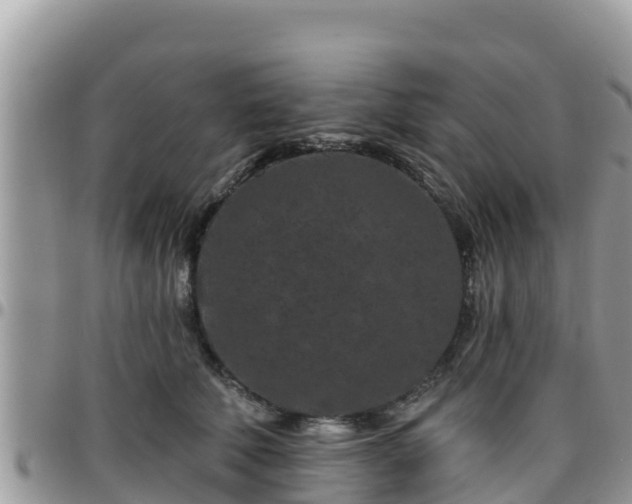 X0000095920610200801181419