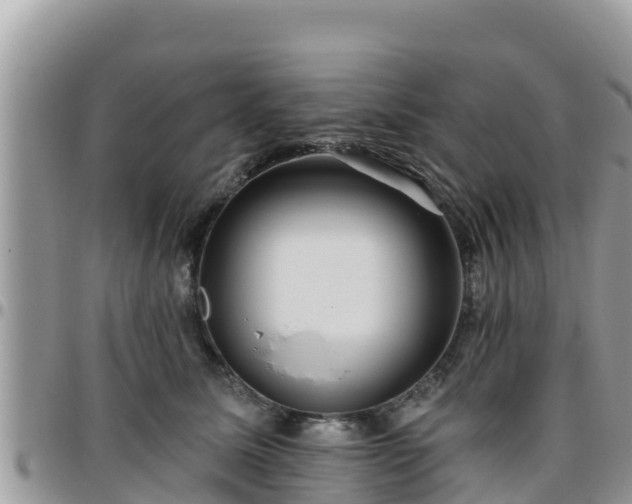 X0000095920611200801181419