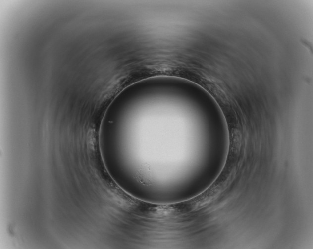 X0000095920612200801181419