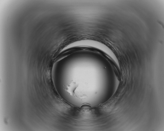 X0000095920613200801181419