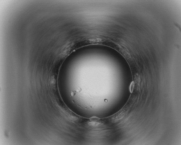 X0000095920614200801181419