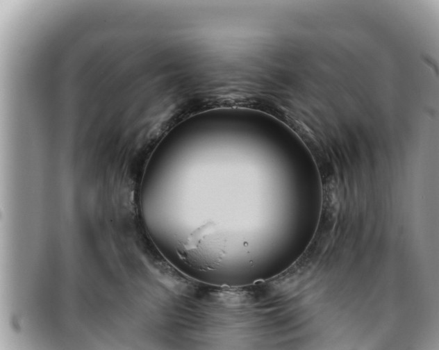 X0000095920615200801181419