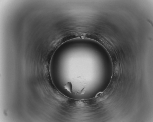 X0000095920616200801181419