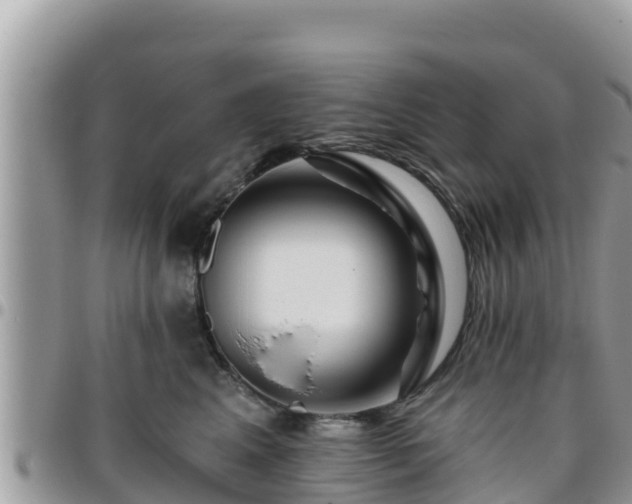 X0000095920617200801181419