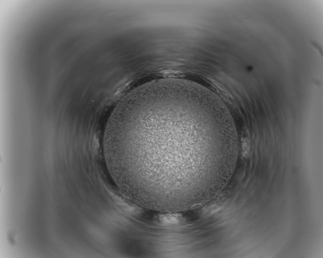 X0000095920618200801181419