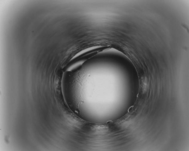 X0000095920619200801181419