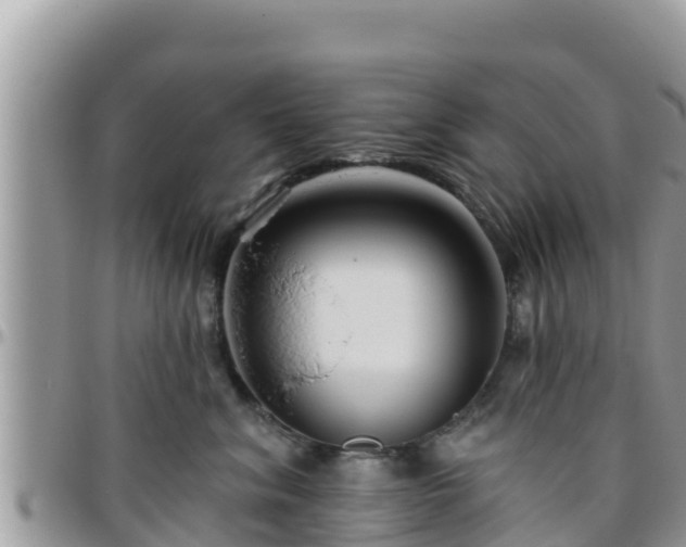 X0000095920620200801181419