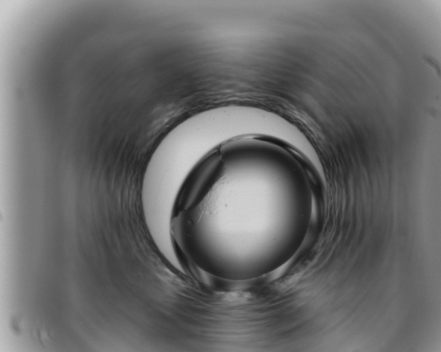 X0000095920621200801181418