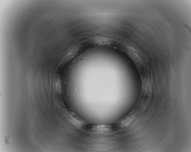 X0000095920622200801181418