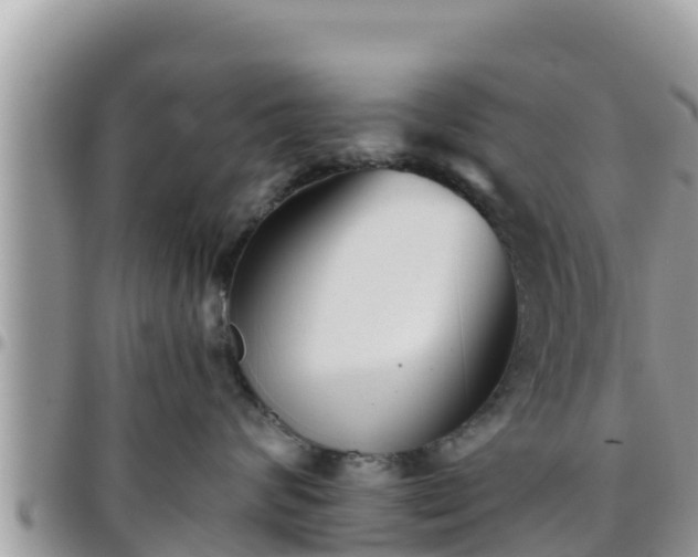 X0000095920624200801181418