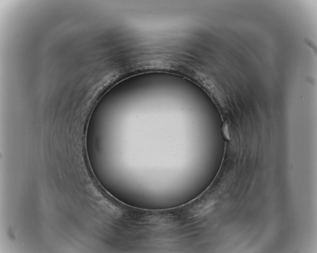 X0000095920625200801181418