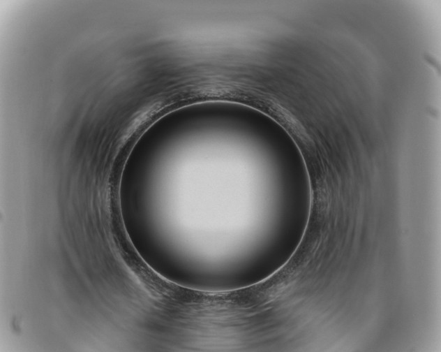 X0000095920626200801181418