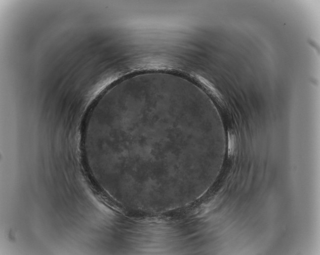 X0000095920627200801181418