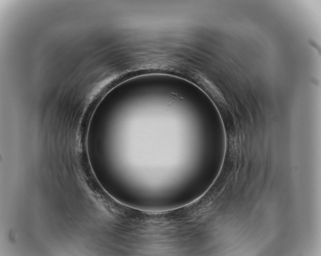 X0000095920628200801181418