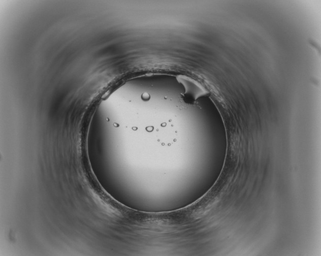 X0000095920629200801181418