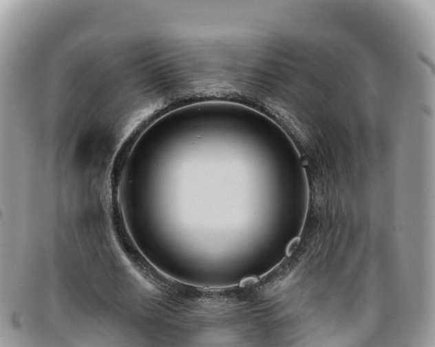 X0000095920630200801181418