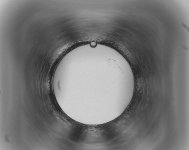 X0000095920632200801181418