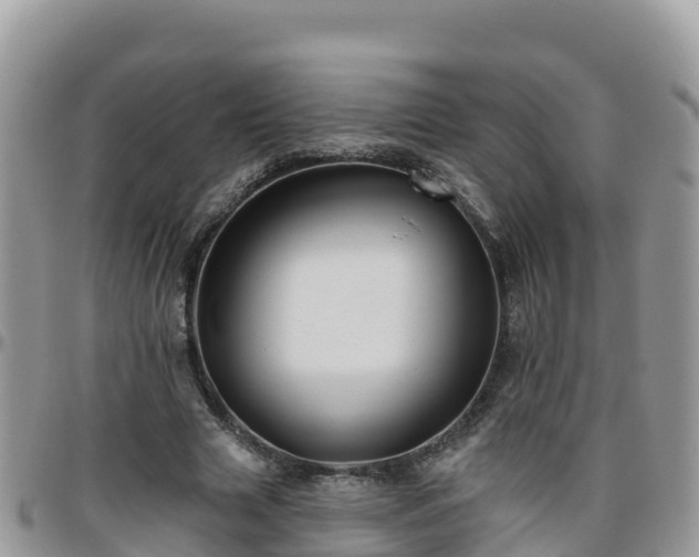 X0000095920633200801181418