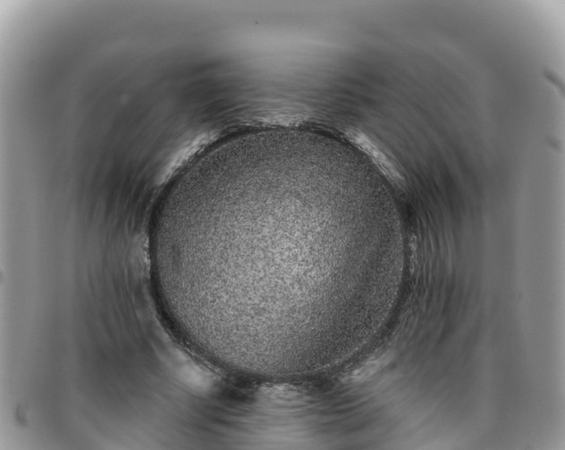 X0000095920634200801181418