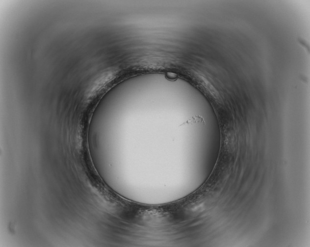 X0000095920635200801181418