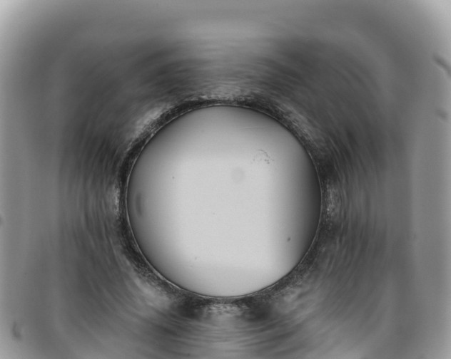 X0000095920636200801181418