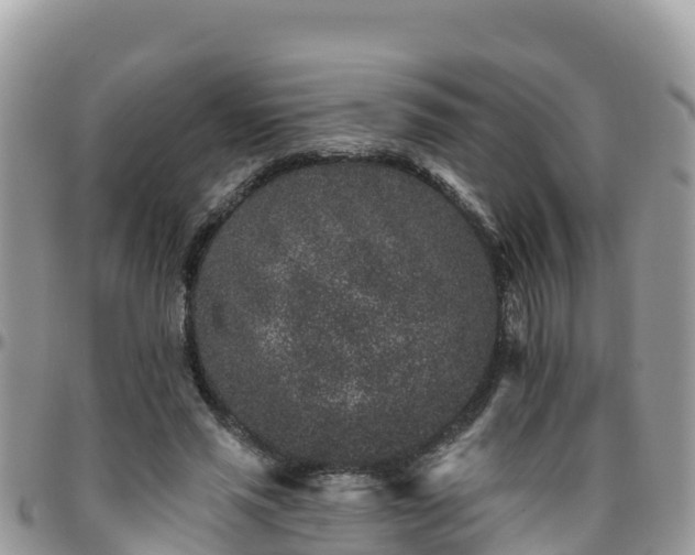 X0000095920637200801181418