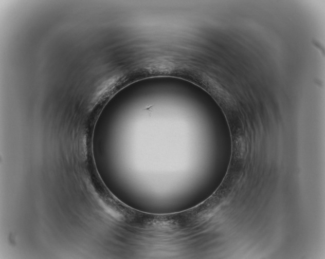 X0000095920638200801181418