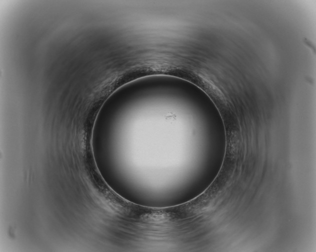 X0000095920639200801181418