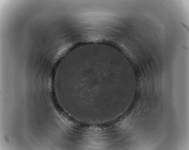 X0000095920640200801181418