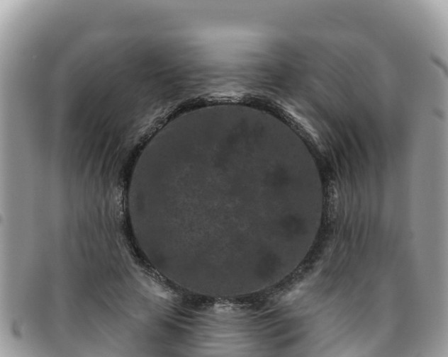 X0000095920641200801181418