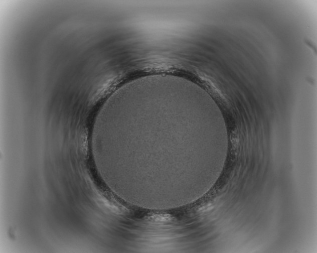 X0000095920642200801181418