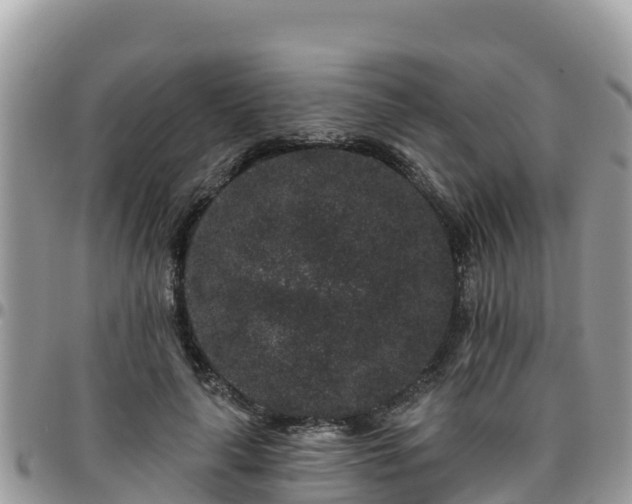 X0000095920643200801181418