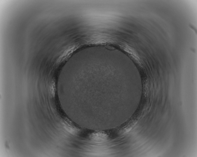 X0000095920644200801181418