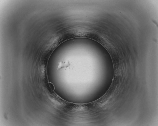 X0000095920646200801181418