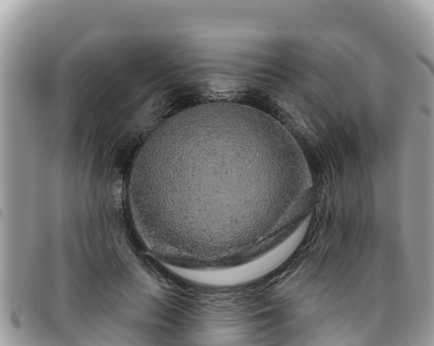 X0000095920647200801181418