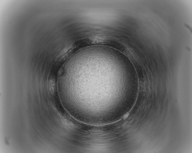 X0000095920648200801181418