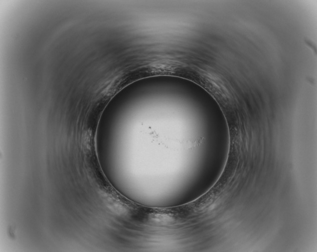 X0000095920649200801181418