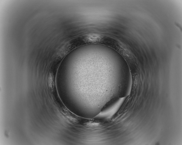 X0000095920651200801181418