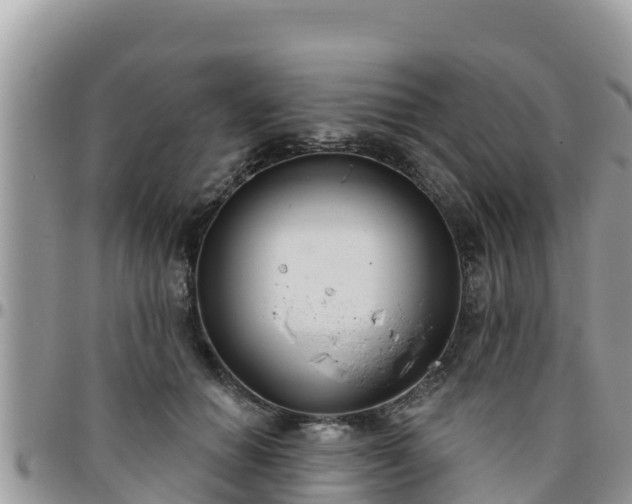 X0000095920654200801181418