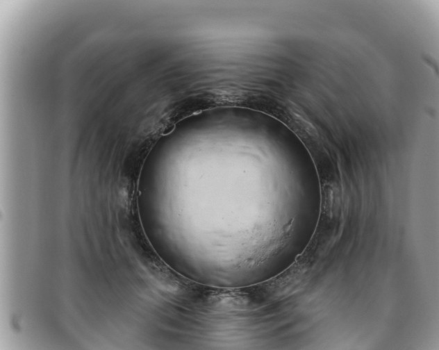 X0000095920655200801181418