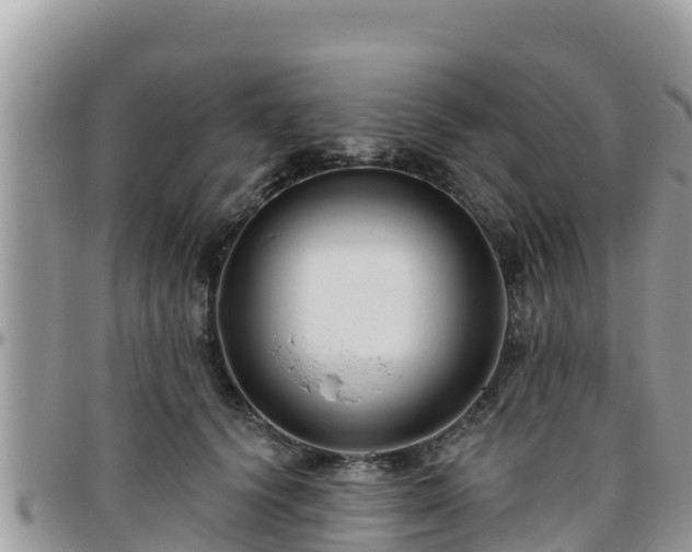 X0000095920656200801181418