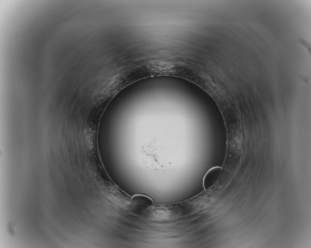 X0000095920658200801181418