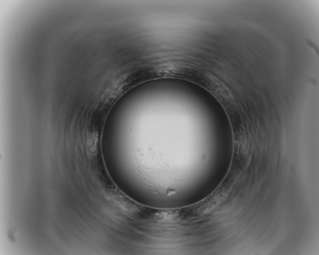 X0000095920660200801181418