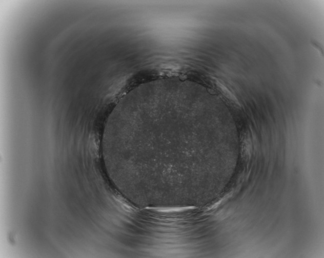 X0000095920661200801181418