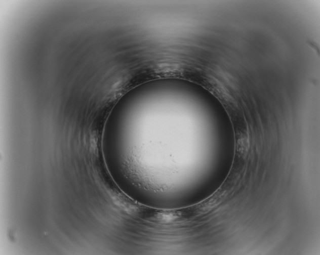 X0000095920662200801181418